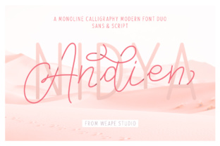 Andien Nidya Duo: A Classy Font for Modern Branding