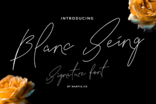 Blanc Seing Font Review: A Modern Signature for Designers