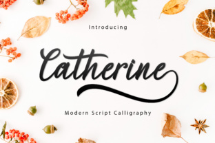 Elevate Your Brand with Catherine Script Typeface