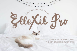 ElleXit Pro: The Script Font for Clear Campaigns