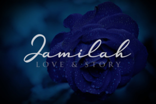 Jamilah Font: Modern Calligraphy for Web Design