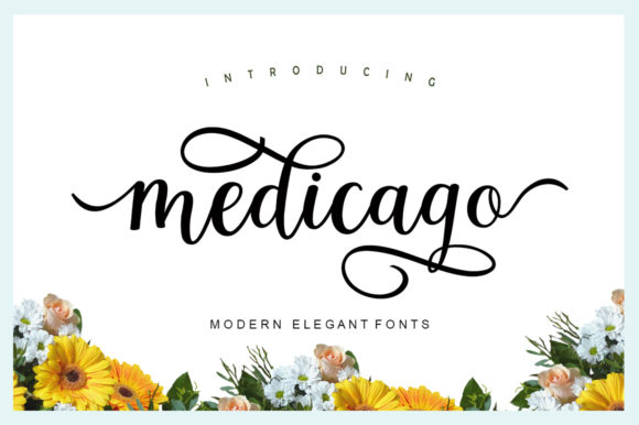 Medicago Font Review: Elegant Script for Designers