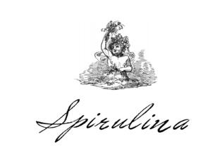 Spirulina Font Review: Vintage Script for Branding